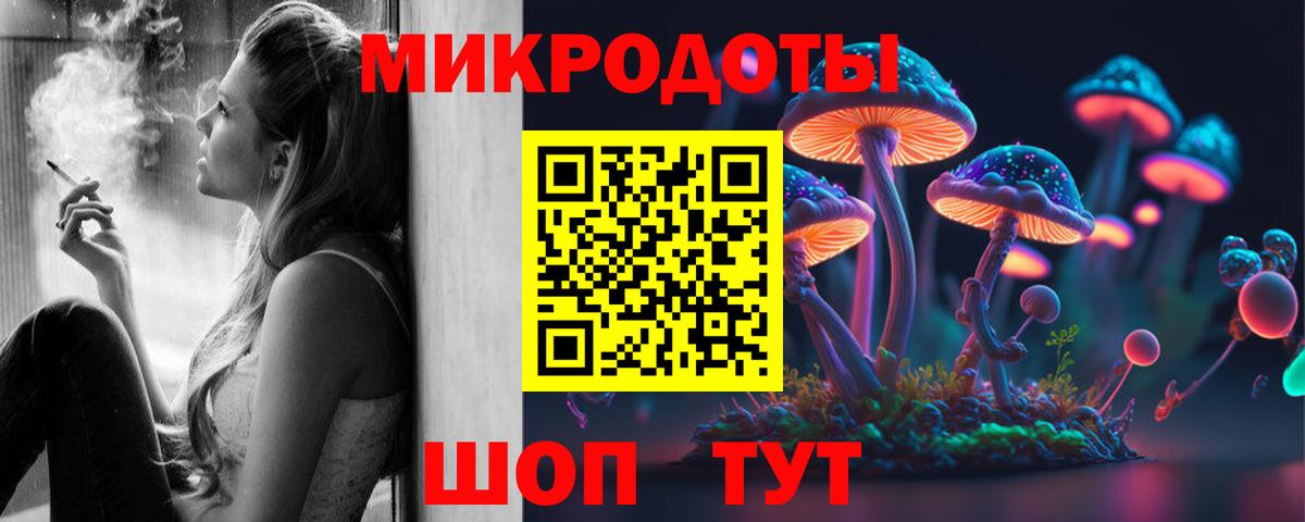 Галлюциногенные грибы Psilocybine cubensis Белорецк