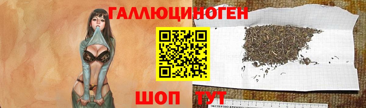 Галлюциногенные грибы Psilocybine cubensis  Вход с VPN  Белорецк 